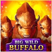 game logo by Belatra Games on vegazonecasino.eu.com